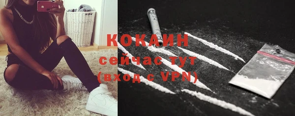сатива Нея