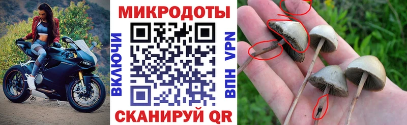 Псилоцибиновые грибы Psilocybine cubensis  купить наркоту  Смоленск 
