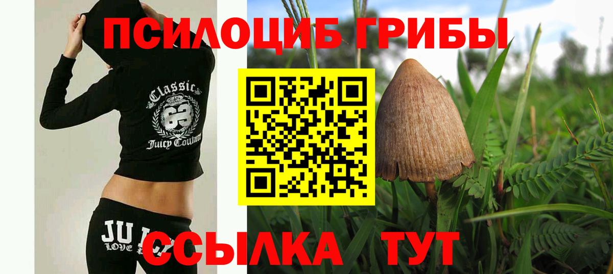 Смоленск  Псилоцибиновые грибы Magic Shrooms  Вход с VPN  Псилоцибиновые грибы мухоморы 